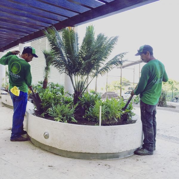 Jardín diseñado por La Costera