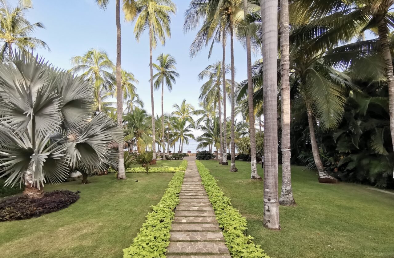 diseno-y-construccion-de-jardines