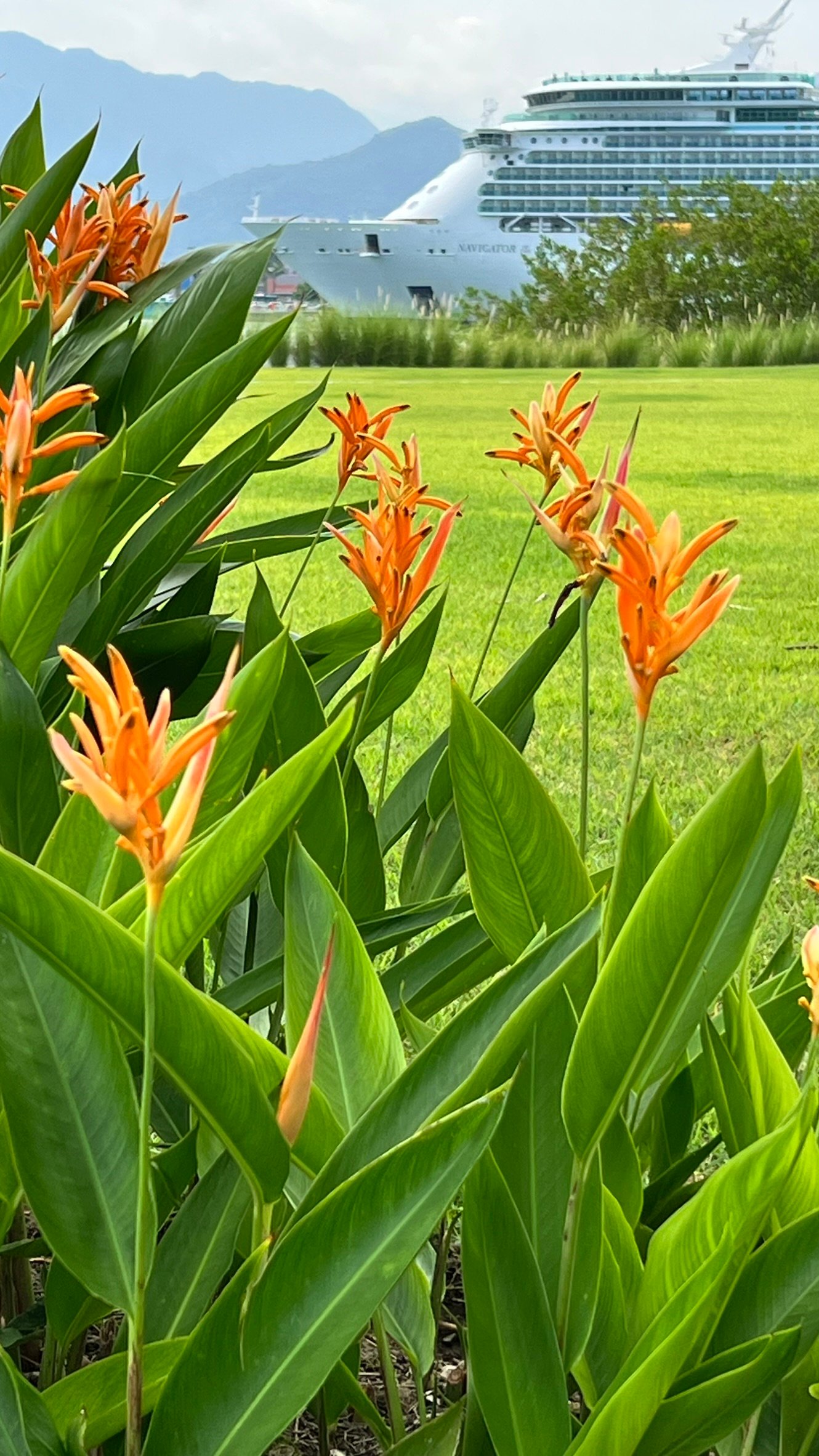 Jardín diseñado por La Costera