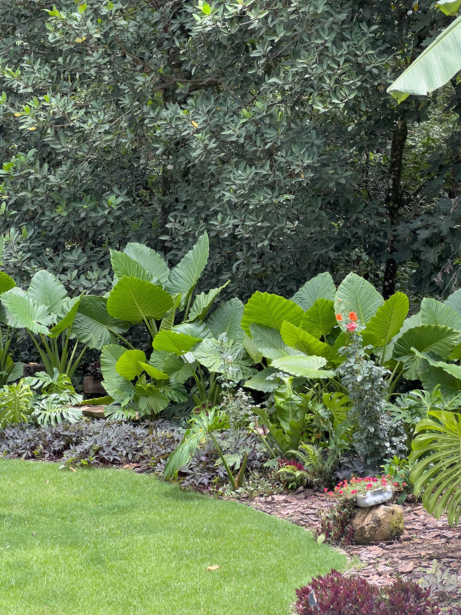 Jardín diseñado por La Costera